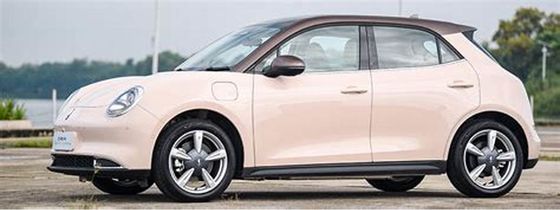 150km/h ECO के अनुकूल इलेक्ट्रिक वाहन 400KM ORA गुड कैट प्योर इलेक्ट्रिक कार