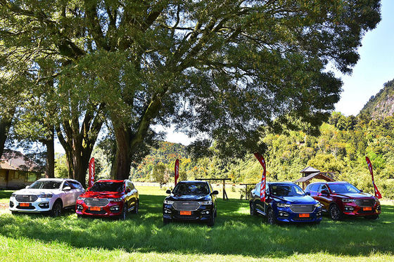 110km 4 व्हील ड्राइव इलेक्ट्रिक कार GWM Haval H6 DHT PHEV प्लग इन हाइब्रिड वाहन