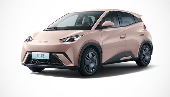 2023 तक उच्च प्रदर्शन नई बीड सीगल ईवी पूरी तरह से संलग्न 4 पहिया इलेक्ट्रिक कार