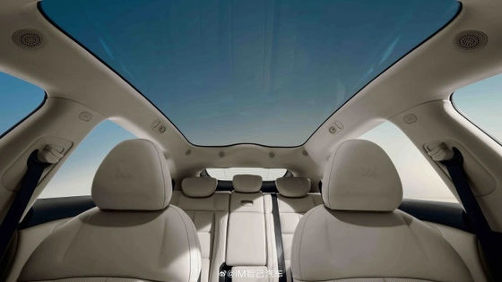 जिजी एलएस6 अधिकतम शक्ति 575 किलोवाट सभी इलेक्ट्रिक ऑटो 252 किमी प्रति घंटे की शीर्ष गति के साथ इलेक्ट्रिक स्पोर्ट्स वाहन