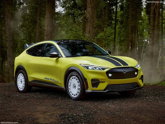 अनोखा रैली सस्पेंशन, फोर्ड मस्टैंग मैक-ई रैली (2024) में 480 हॉर्स पावर