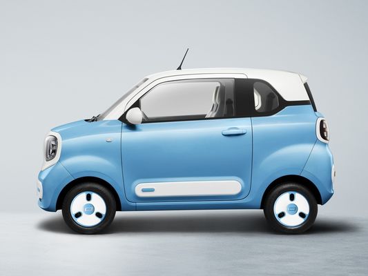 एफएडब्ल्यू बेस्टून एनर्जीटिक पोनी ईवी हैचबैक 170 किमी रेंज इलेक्ट्रिक कारें